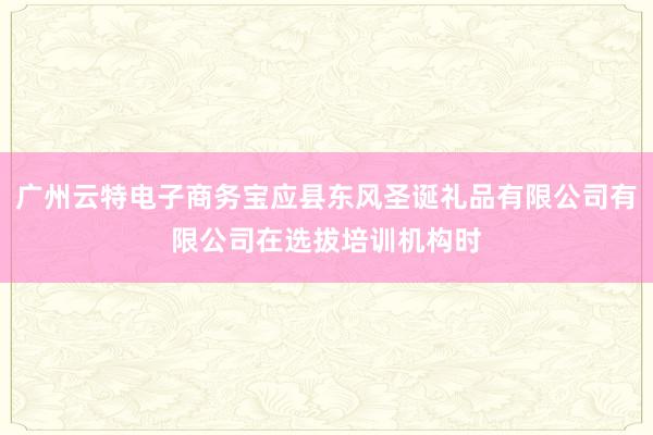 广州云特电子商务宝应县东风圣诞礼品有限公司有限公司在选拔培训机构时