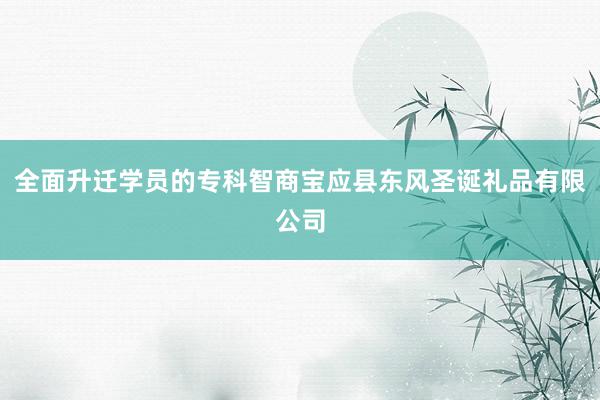 全面升迁学员的专科智商宝应县东风圣诞礼品有限公司